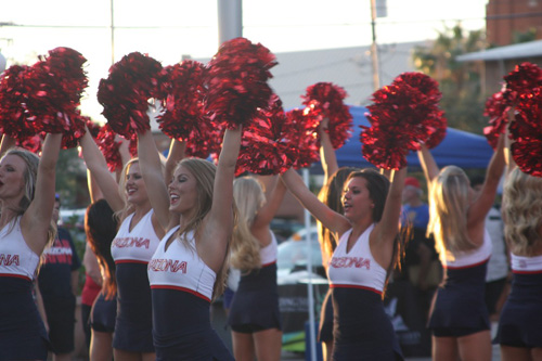 Cheerleader Pom Poms